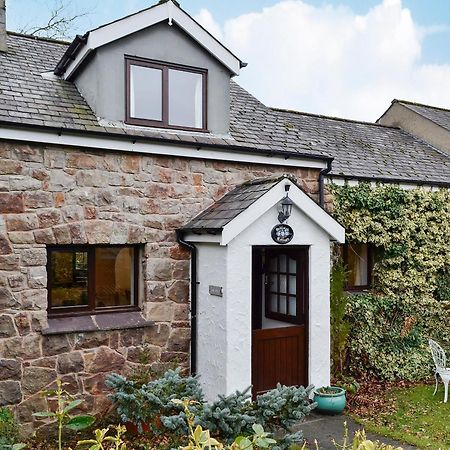 Oakleigh Cottage Llangelynin  Εξωτερικό φωτογραφία